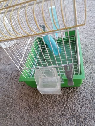 Jaula pajaritos