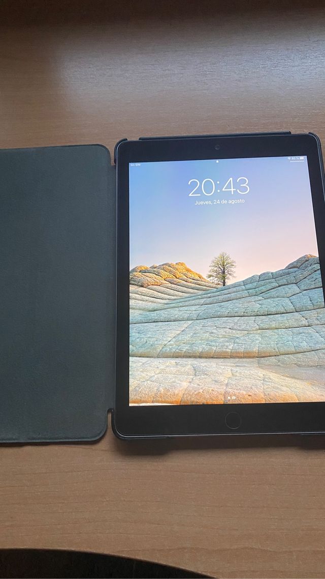 Apple iPad Air 2 Wifi + 4G (16Gb)