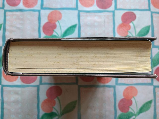 E7 Melania Mazzu Vita Harry Flashman halcón maltés