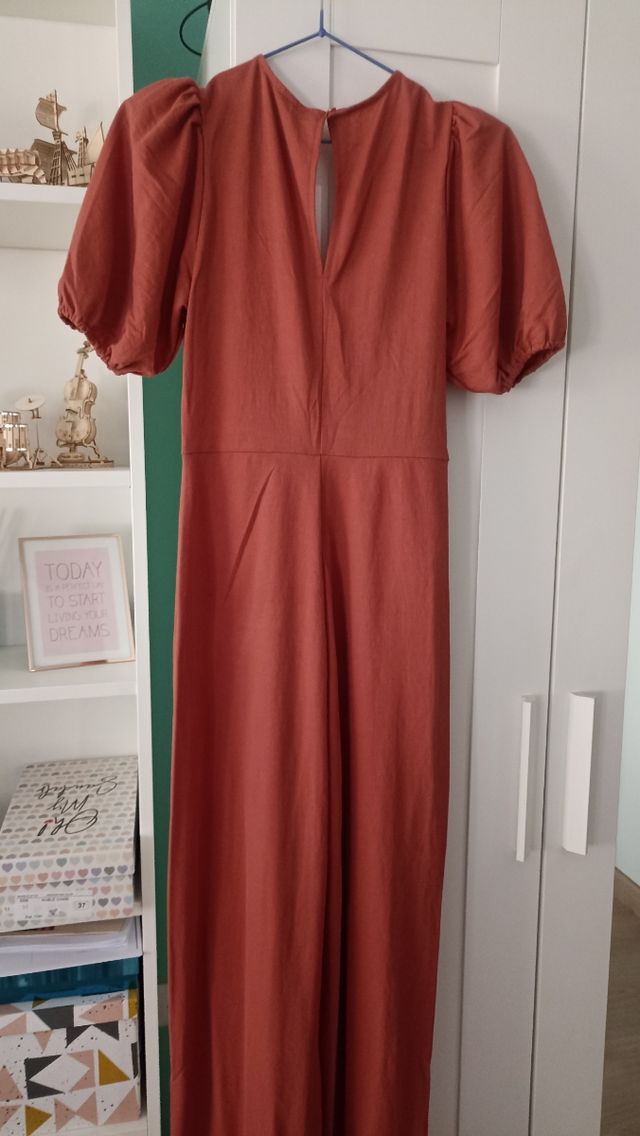 Mono nuevo primavera