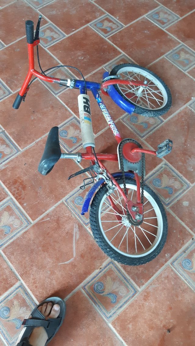 Bicicleta bh antigua