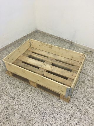 COLLARES PARA PALETS