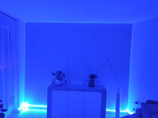 Pintor / Papel pintado