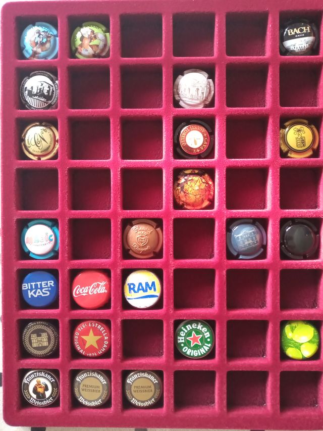 260 XAPES DE CAVA + 2 ÀLBUMS