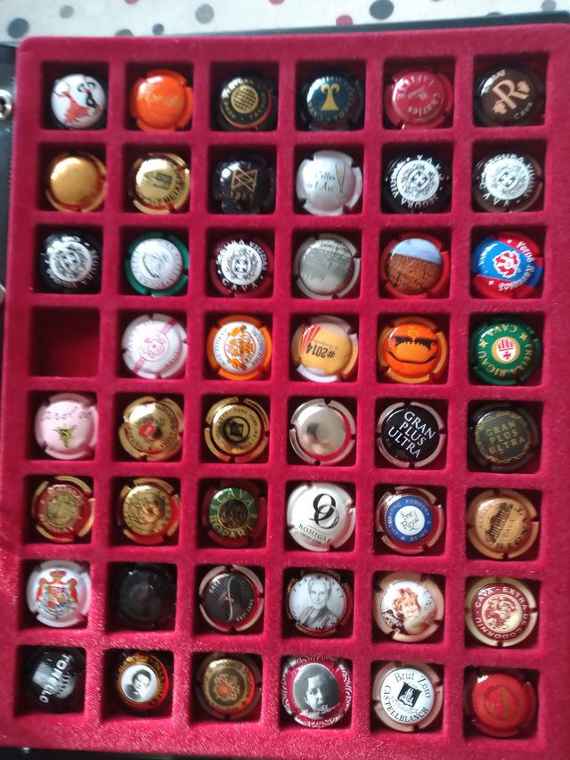 260 XAPES DE CAVA + 2 ÀLBUMS