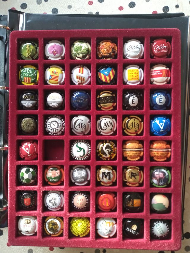 260 XAPES DE CAVA + 2 ÀLBUMS