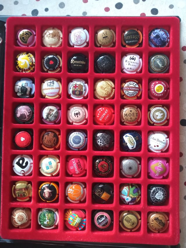 260 XAPES DE CAVA + 2 ÀLBUMS