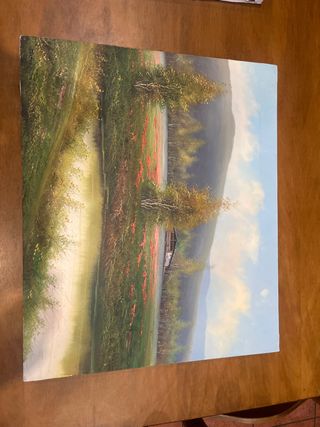 Cuadro pintado a mano