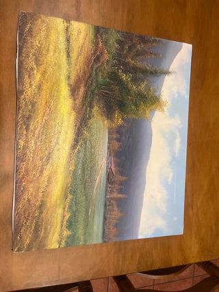 Cuadro pintado a mano