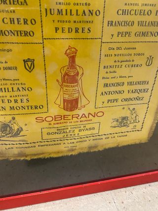 Corridas De Torros Pamplona-San Fermin y Valencia