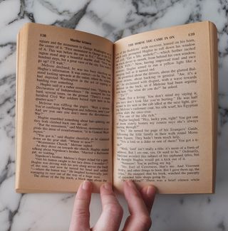 The horse you came in on - Martha Grimes