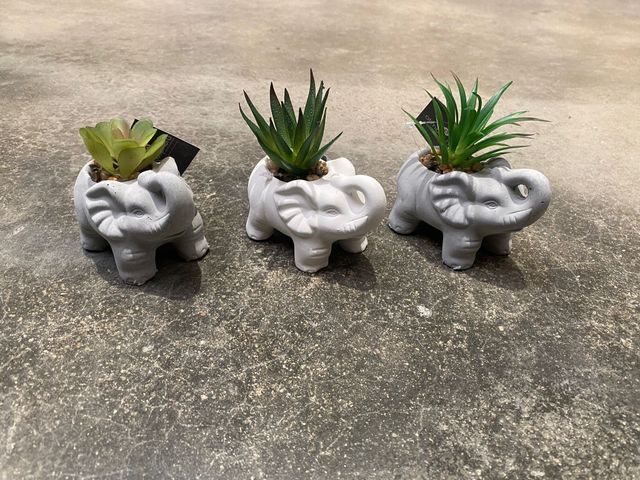Macetero elefante 