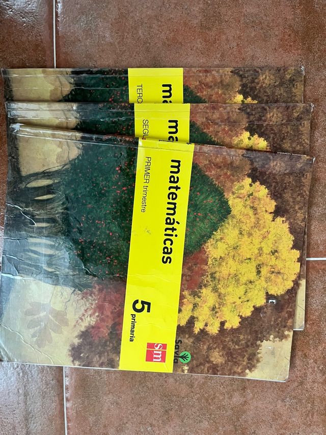 libro de texto primaria