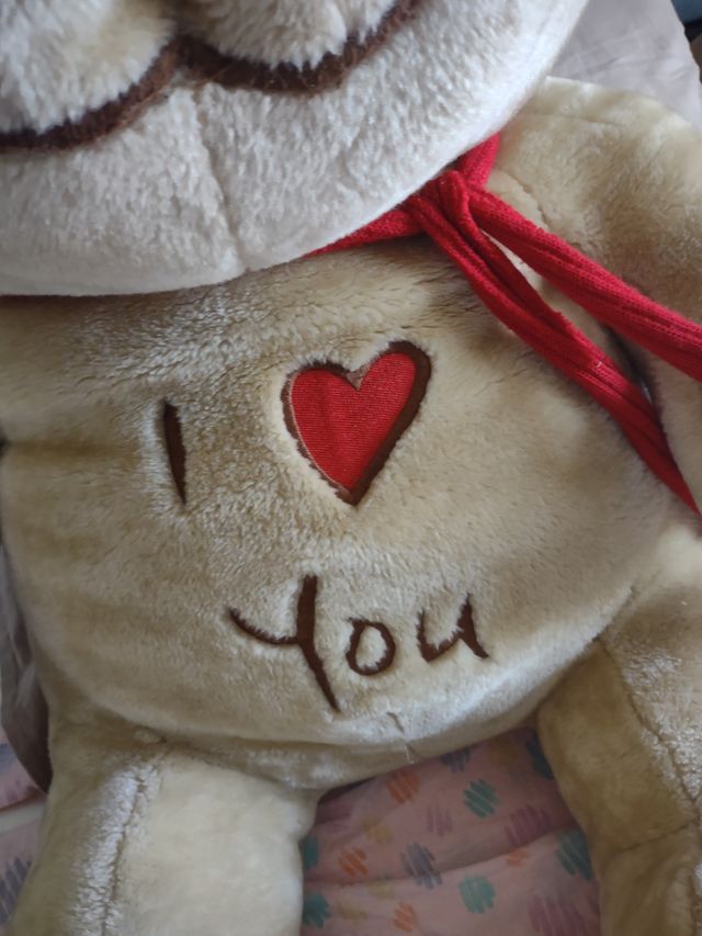 Orsetto peluche gigante con cuori