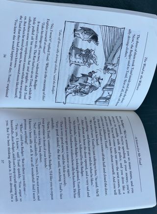 Libro lectura en inglés “The wind in the willows”