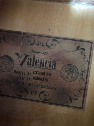 guitarra valencia con funda