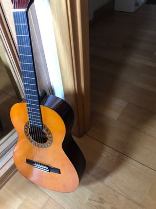 guitarra valencia con funda