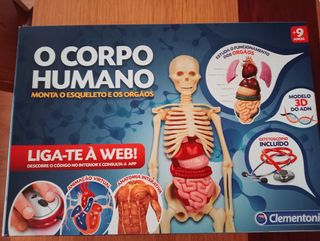 Jogo Corpo Humano