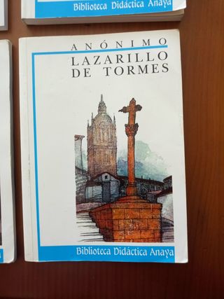 Lote deLibros de lectura ESO