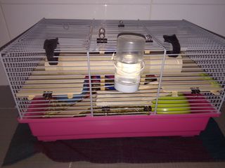 Jaulas Hámster