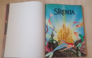 Libro Disney Princesas