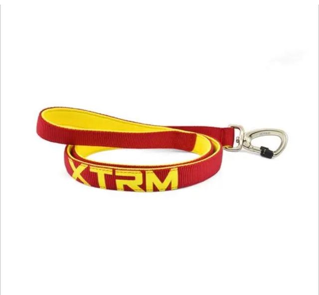 CORREA + COLLAR PERRO X-TRM 