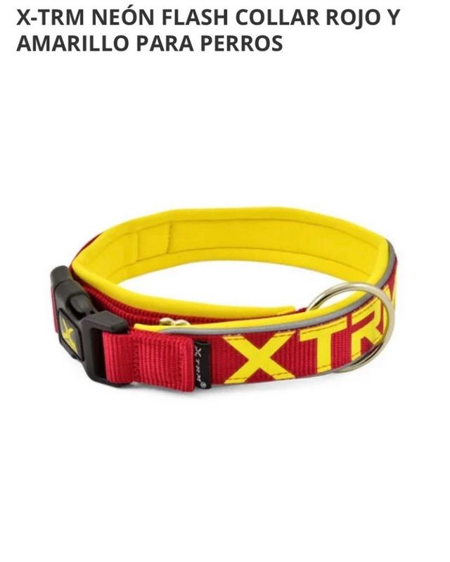 CORREA + COLLAR PERRO X-TRM 
