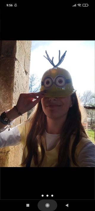 Minions, Gru mi villano favorito DISFRAZ