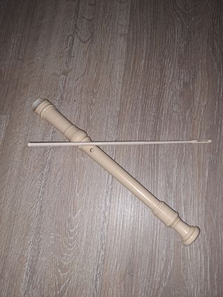 Flauta escolar
