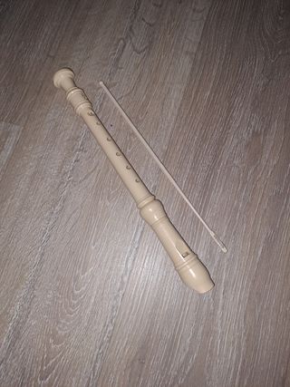 Flauta escolar