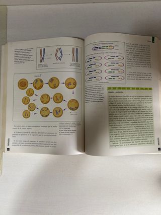 Libro de texto: Biologia