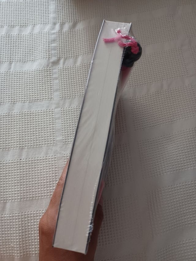 El día que se perdió el amor