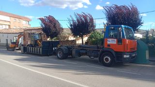 Excavaciones EMO tel.671230808