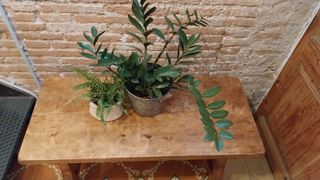 Mesa lira catalana antigua