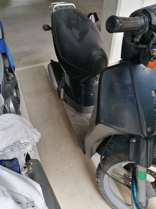 Honda Scoopy 50 cc.