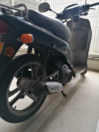Honda Scoopy 50 cc.
