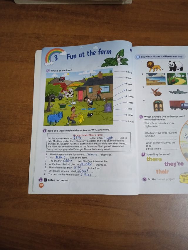 Libro di inglese fun for movers