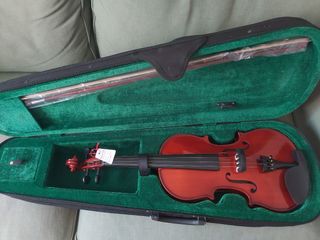 VIOLIN - Sin estrenar