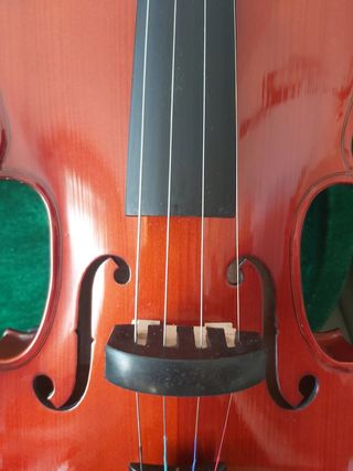 VIOLIN - Sin estrenar