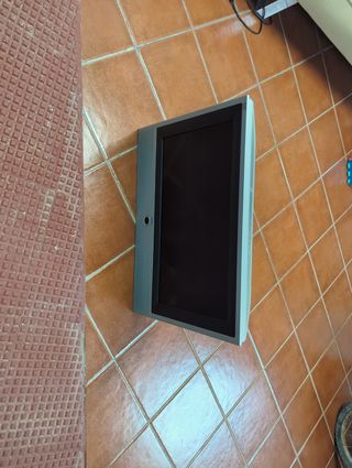 Televisor Loewe antiguo