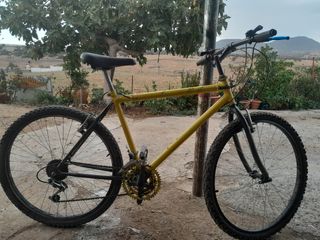 Bicicleta