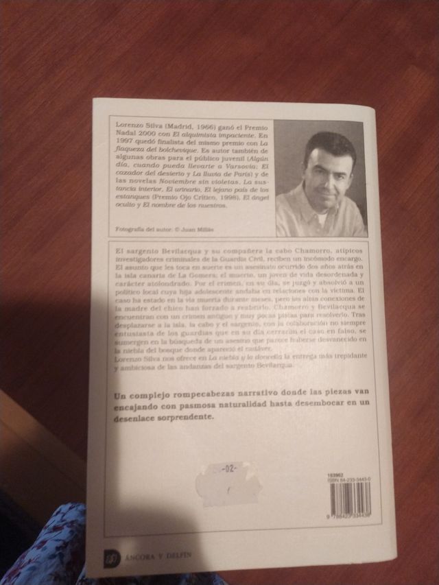 La niebla y la doncella