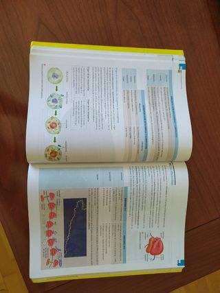 Biología. 2º Bachillerato. Teoría y Practica.