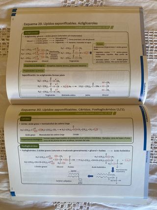 Cuaderno de Bioquímica