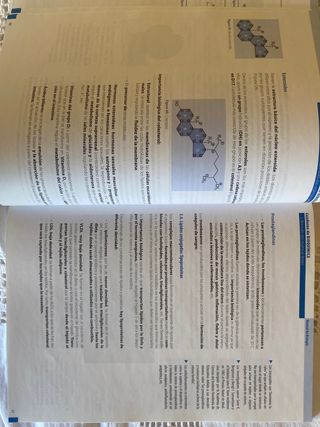 Cuaderno de Bioquímica