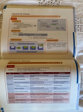 Cuaderno de Bioquímica
