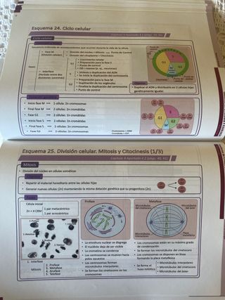Cuaderno de Citología y Fisiología