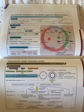Cuaderno de Citología y Fisiología
