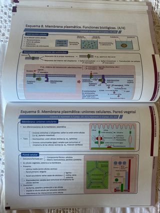Cuaderno de Citología y Fisiología