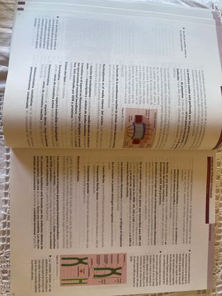 Cuaderno de Citología y Fisiología